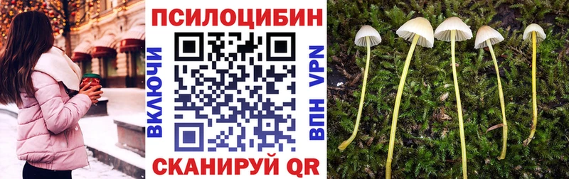Купить где  Рязань  Псилоцибиновые грибы Magic Shrooms 